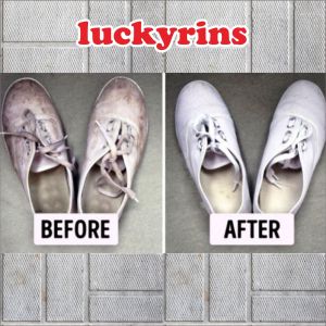 PEMBERSIH SEPATU GRATIS SIKAT DAN LAP