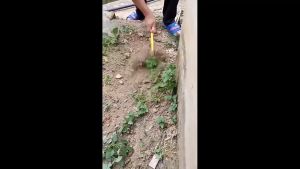 คราดหญ้า คราด คราดเหล็ก เครื่องมือสวน คราด มีดจอบ ขุดหญ้า จัดการกับวัชพืชตามซอกหิน