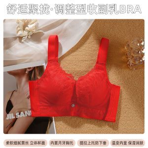 Adjustable Lace Bra for Women Wireless Gathered Top Push up Anti Sagging Side Breast Collection Summer Underwear Bra