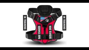 Service Dog Harness Reflective Dog Vest Harness with 5 PCS Patches Adjustable Soft Oxford Pet Harness Inner Layer Mesh Easy