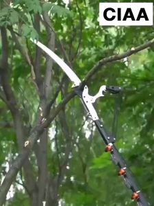 CIAA กรรไกรตัดกิ่งไม้สูง พร้อม ใบเลื่อย ด้ามไสลด์ได้ยาว 7.5 เมตร 3 in 1 กรรไกรตัดกิ่งไม้ มีรอกช่วยผ่อนแรง ใบ SK5 กรรไกรตัดกิ่งด้ามยาวพร้อมเลื่อย กรรไกรตัดกิ่งสูง กรรไกรตัดกิ่งไม้สูงพร้อมด้าม Gardening Tools