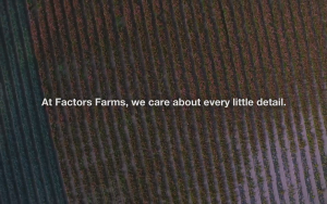 Natural Factors- Premium Cinnamon Extract 150mg - Heart Health & Blood Sugar Support 60 Capsules