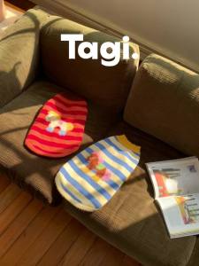 Tagi. Magi Stripes Pet Sweater เสื้อกันหนาวลายทางสำหรับสัตว์เลี้ยง Magi