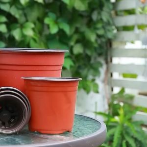 Pot Bunga / Pot Plastik / Pot Tanaman Hias Untuk Transplantasi Succulent Berformasi Diamter 25cm/30cm