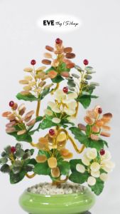 9 ช่อ ฝาก ต้นไม้หยก ถูกปรับปรุง คุณอาจคิดเชื่อมต่อกับคำอวยพร ต้นไม้มงคล หรือสามารถเสริมดวงได้