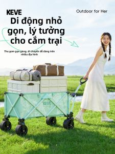 Xe Đẩy Dã Ngoại Gập Được