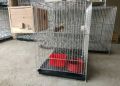 Complete set up bird cage CPU type. 