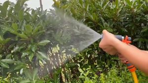 หัวฉีดน้ำ ปืนฉีดน้ำ ที่ฉีดน้ำ ปรับได้ 8 รูปแบบ ชุดสายยาง 4หุน ยาว 20ม. หัวฉีดน้ำอเนกประสงค์ รดน้ำต้นไม้ ล้างรถ