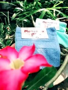 Set 3 Khăn Mặt Xuất Nhật