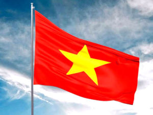 Cờ Tổ Quốc Với Nhiều Loại Kích Thước Khác Nhau Chất Liệu Vải Phi Dày Dặn Đường May Cẩn Thận