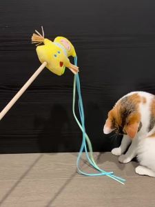 FURRYBUM | Interactive Bell Cat Toy