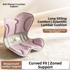 Brezor | Ergonomic Lumbar Support Cushion