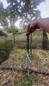 PC MICROSPRINKLER 35L/H CONNECT WITH OD 8MM STAKE & 1/2" MALE THREAD