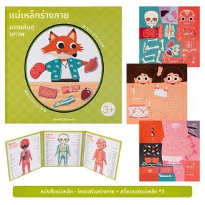 ของเล่นสำหรับเด็กอวัยวะของร่างกายมนุษย์กล้ามเนื้อโครงกระดูกการรับรู้ Puzzle MAGNET ของเล่นแบบโต้ตอบ Montessori หนังสือไม่ว่าง preshool ประสาทสัมผัส