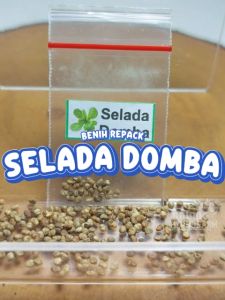 Benih Selada Domba / Mache Unggulan Berkualitas biji bibit repack Valerianella locusta hydroponik hidroponik sayuran sayur pot