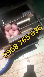 Máy thái hành tỏi sả bằng điện máy thái rau củ đa năng