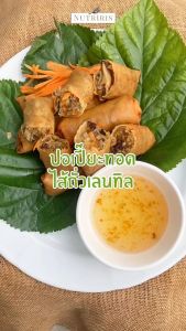 นูทริริส ถั่วเลนทิล ออร์แกนิค แพ็คคู่ ถูกกว่า (400กรัม x 2ถุง) จัดส่งฟรี Exp.8/2027 มีอย. ถูกหลักอนามัย ปลอดสารเคมีตกค้าง100% ( Organic Lentil ) NUTRIRIS Brand