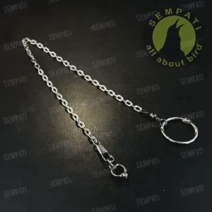 SEMPATI RANTAI BURUNG NURI PELANGI RING BORGOL IMPORT 7 MM RANTAI FF UMBARAN FREE FLYING RANTAI GELANG KAKI RING LATIH BURUNG PUTER PELUNG DERKUKU TEKUKUR BESAR JALAK BALI
