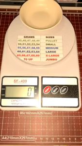 Digital Egg scale LCD Dual function kitchen scale 10kg/1g