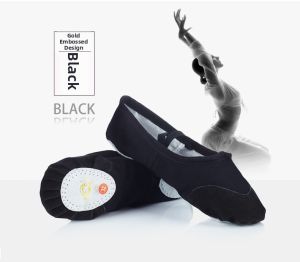 Soft Soled Ballet Shoes
