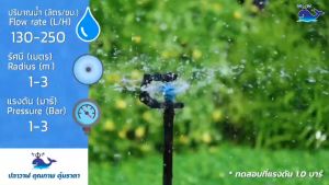 (แพ็ค 100 ตัว) มินิสปริงเกอร์เกลียว 5 มม. รุ่น WSM1 ตราปลาวาฬ