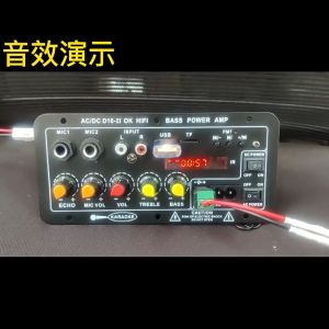 DC12V24V AC220V Digital Bluetooth Stereo Amplifier Board Subwoofer Dual Microphone Karaoke Amplifier With Display