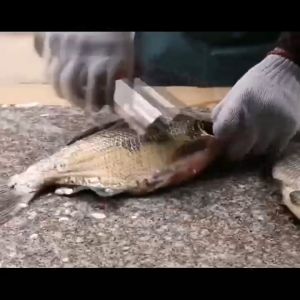 Electric fish scraper fish scale artifact automatic fish scale machine household fish scrap