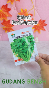 [EKONOMIS] Benih Sayuran Ketumbar / Bibit Sayur Coriander isi 180 Benih (KEMASAN PABRIK)