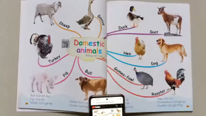 Sách - Chinh Phục Từ Vựng Tiếng Anh - Theo Sơ Đồ Tư Duy Mind Map (Kèm File Đọc Giọng Bản Địa - Quét QR)