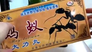 [Chính Hãng] Kiến Càng Đen Tây Tạng Chính Hãng