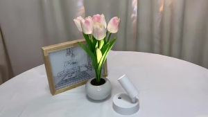 SXH  Wireless Charging Wall Lamp Magnetic Suction COB Spotlight usb Downlight Bedroom Wall Washer Light Painting Wall led Lamp