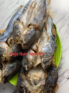 Ikan Asin Duri / Baung / Dukang / Jambal Roti / Otek / Ote / O Te / Blukang kualitas Super Premium