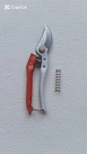 [ FERRUM ] Gunting Dahan Gunting Taman Ranting SLG