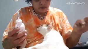 Nước Rửa Vệ Sinh Tai Cho Chó Mèo Ear Care Bioline 50ml - Dung Dịch Vệ Sinh Viêm Tai Dành Cho Thú Cưng