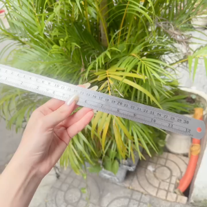 Thước lá dài 12 (30cm) không gỉ khắc chữ chìm