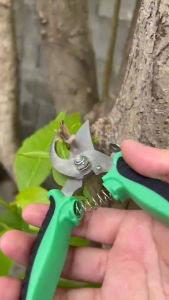 3.0สแตนเลส กรรไกรตัดกิ่งไม้ กรรไกรตัดหญ้า ดอกไม้ เครื่องมือจัดทำสวน แต่งสวน กรรไกรสำหรับตัดแต่งกิ่งไม้ กรรไกรตัดกิ่ง ใช้ในการตัดแต่งสวน