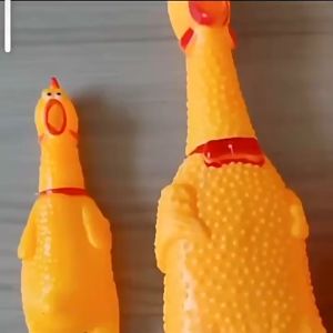 Đồ chơi gà la hét cho Chó Mèo có kèn kêu - Love pets Shop