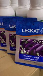 Fresh Stock Baru Sampai!!!  Terung Mini 313 Leckat Little Nyonya F1 Hybrid Eggplant 10gm 小娘惹 茄子 种子
