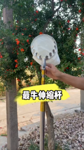 Fruit Picker 3/5/6 M Telescopic Rod High Branch Hook Pruning Branch Cutter Saw Tree Fruit Picker Bag Sickle Head Kelapa