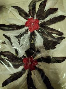 Bulu jari untuk tari sepasang/ kirib tari anak