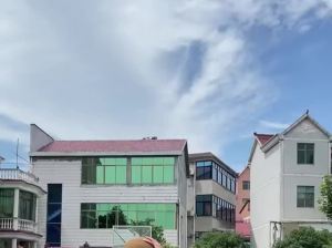 1/2 Chiếc Lưới Giá Treo Bóng Rổ Hạng Nặng Với 12 Vòng Lưới Thay Thế Ngoài Trời Có Thể Tháo Rời Cho Thiết Bị Thể Thao Và Thể Hình