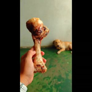 (มีของพร้อมส่งทันที ผลิตทุกวัน) กระดูกหมูติดเนื้ออบแห้ง ไซส์ใหญ่จัมโบ้พิเศษ ซีลสูญญากาศ ขนมน้องหมา กระดูกหมูอบแห้ง