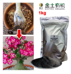 Kim Two Adenium Rescue Root Rot 1kg