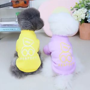 Quần áo thu đông nỉ cotton gấu perfect thú cưng cho chó mèo giữ ấm giá rẻ dễ thương cute phụ kiện tốt - GiGi Pet Shop