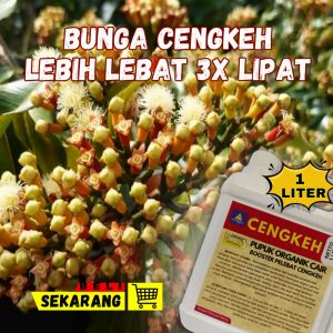 Pupuk Cengkeh Pelebat Daun & Hasil Panen