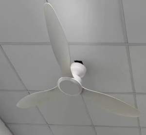 Quạt trần 3 cánh Asia động cơ DC điều khiển từ xa cánh nhựa ABS siêu bền - QT17