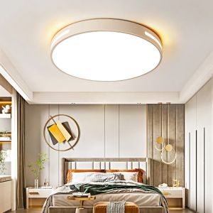 LED Ceiling Light Modern Design Bedroom Light Tricolor Remote Control Dining room lamp Living Room Light Long Light for Ceiling Corridor Light
