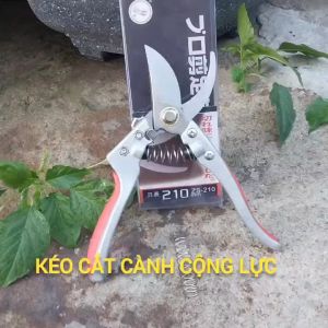 Kéo cắt tỉa cành cây SK5 Sanda Japan-Kèm lò so sơ