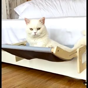 Cat Hammock Kitty Hanging Bed Window Resting Mats Living Room Bedside Extension Pet Corner Beds Sofa Resting Zone