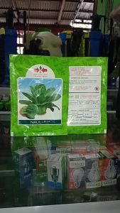 PAKET HEMAT 5 Bungkus Benih Pakcoy Nauli f1 10gram